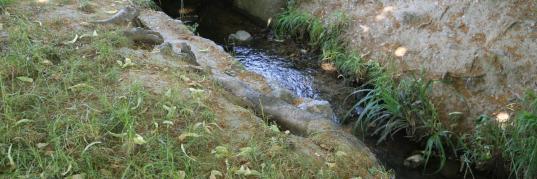 Symboblbild Naturschutz